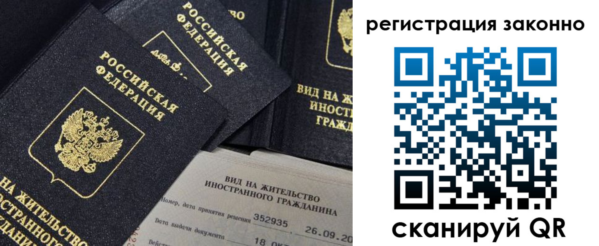 прописка поиск в Павловске